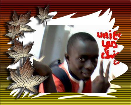 the gose bi il e fou